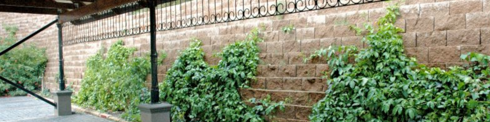 Slide #8 Slide background